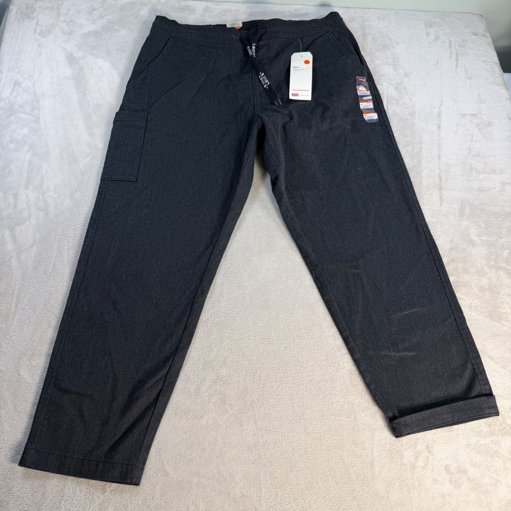 Levi's Pull-On Taper Cropped Pants Mens XL Gray Stretch Warm Insulated Cargo
